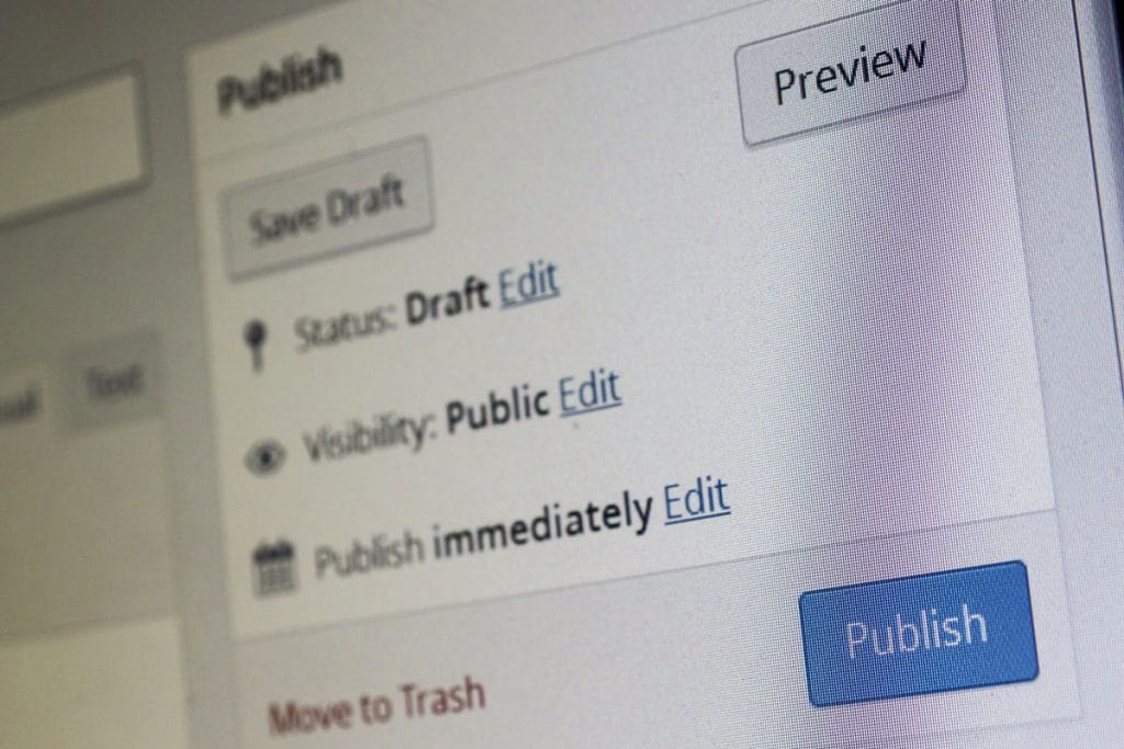 WordPress publish section in the backend.