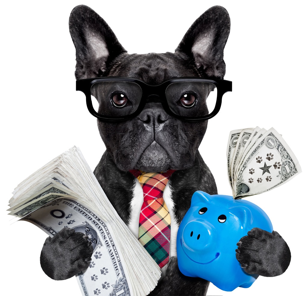 puppy wearing glasses holding a stack of cash and a piggy bank
